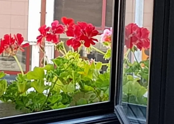 House Casa de hóspedes Aveiro