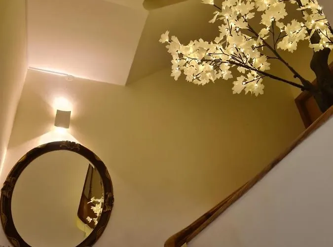 Casa de hóspedes House