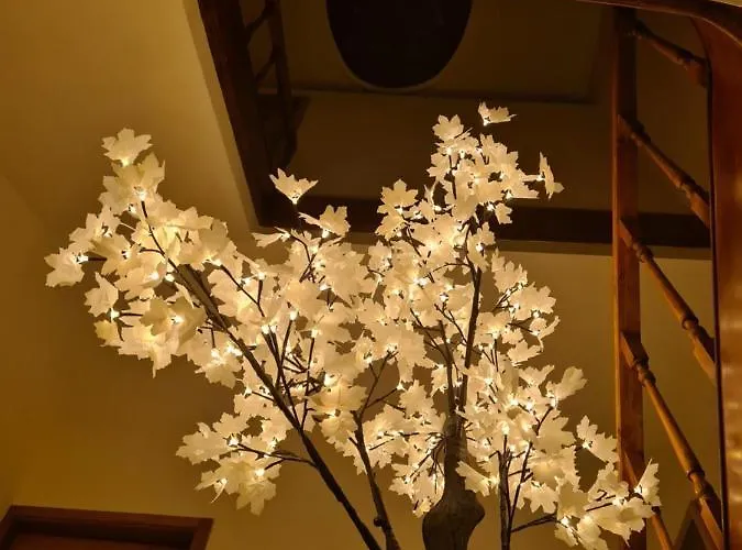 Casa de hóspedes House Aveiro